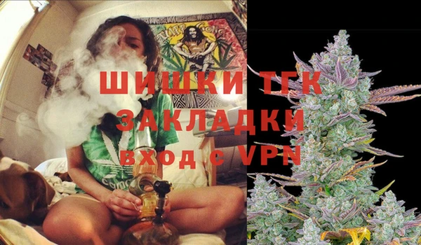 эйфоретик Осинники
