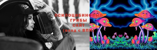 эйфоретик Осинники