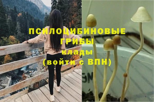таблы Видное