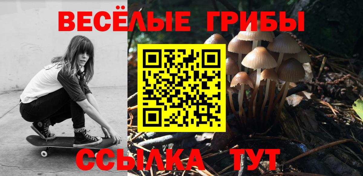 Псилоцибиновые грибы мицелий  Псилоцибиновые грибы Psilocybine cubensis  Вход с VPN  Кумертау 