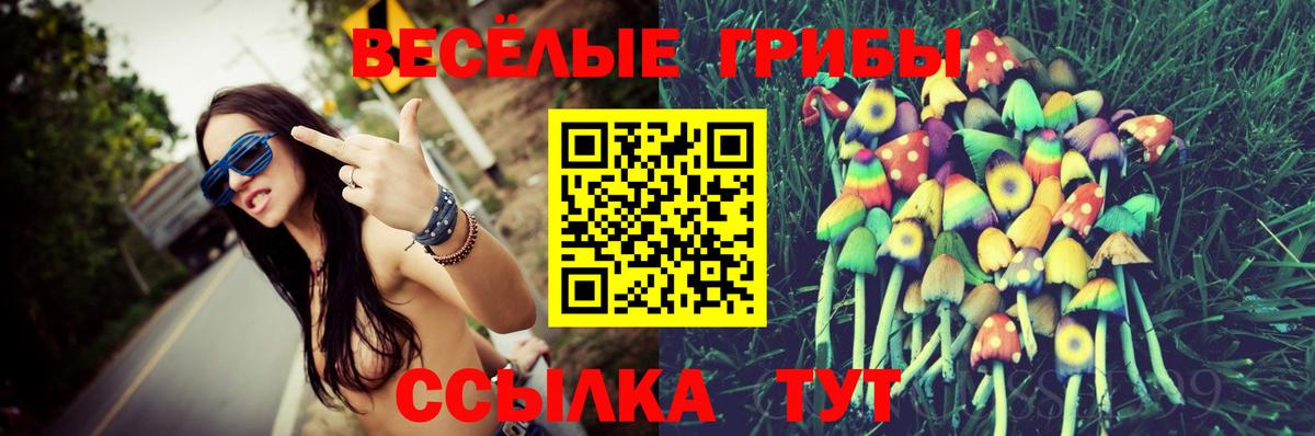 Псилоцибиновые грибы мицелий Кумертау